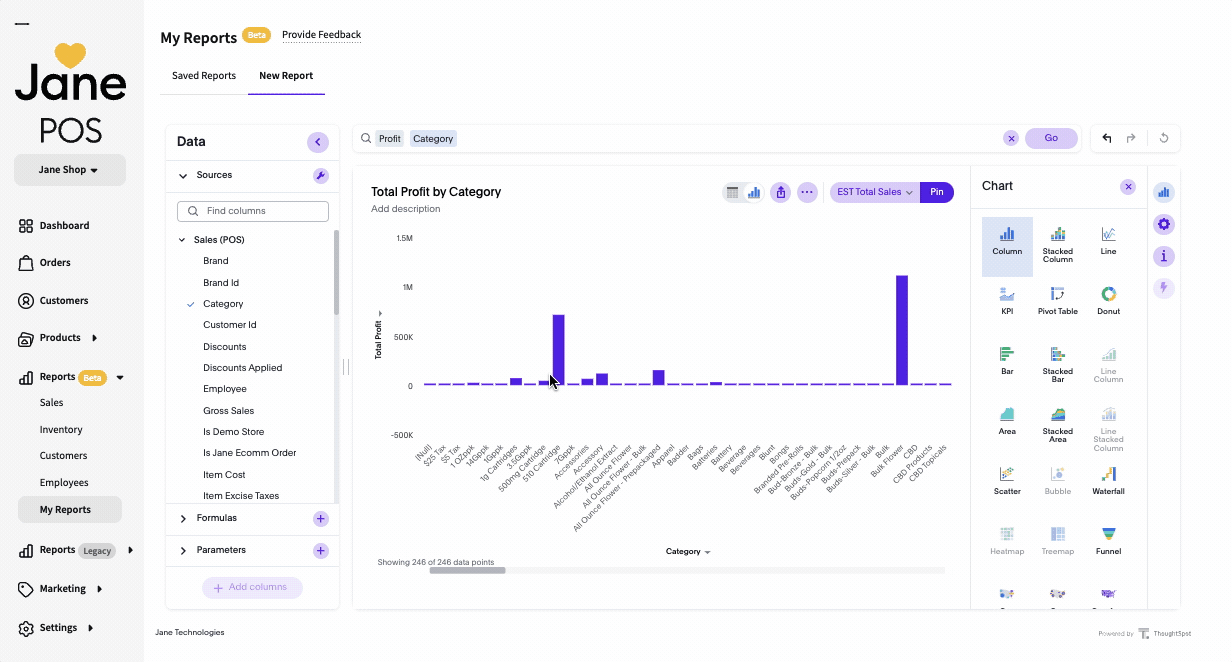 Jane POS Custom Reporting
